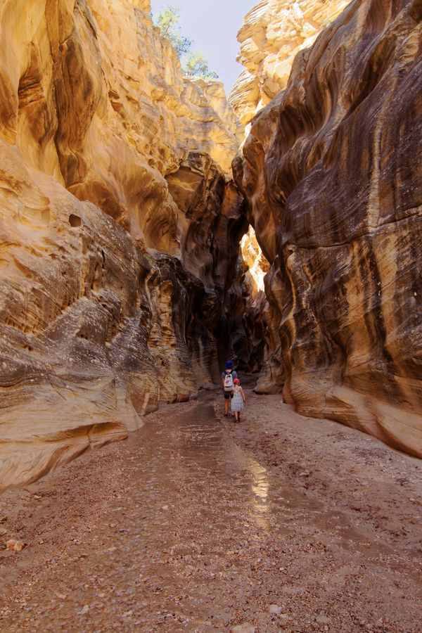 Willis Creek Slot Canyon