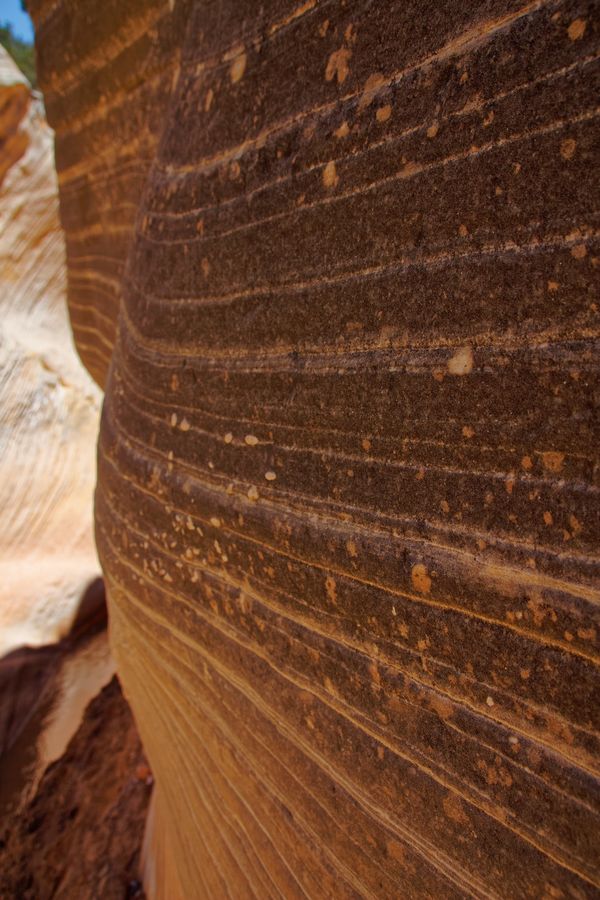 Géologie Willis Creek Slot Canyon