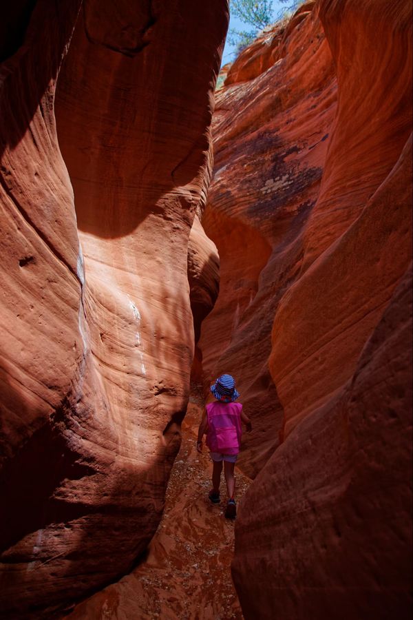 Seconde section du Wire Pass Utah USA