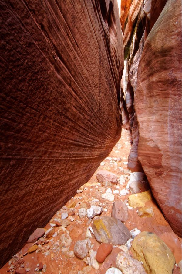 Wire Pass slot canyon Utah