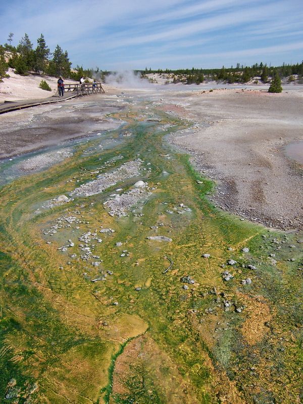 Les couleurs de Porcelain Basin Yellowstone
