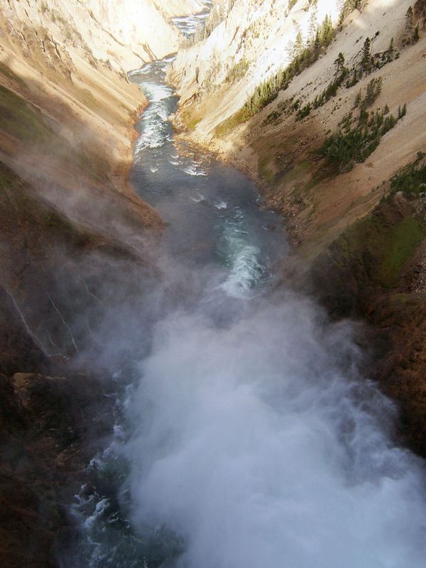 Brink of the Lower Falls Yellowstone