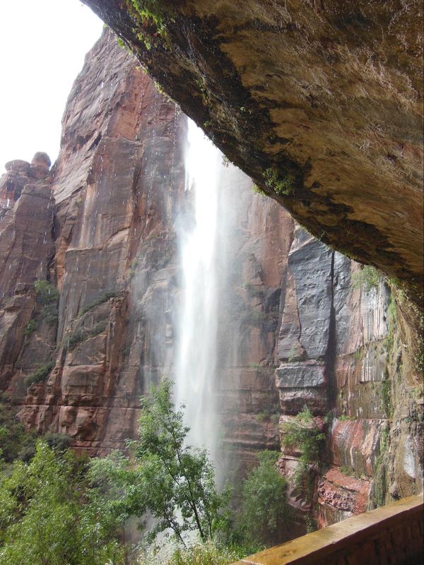 Weeping Rock Zion NP
