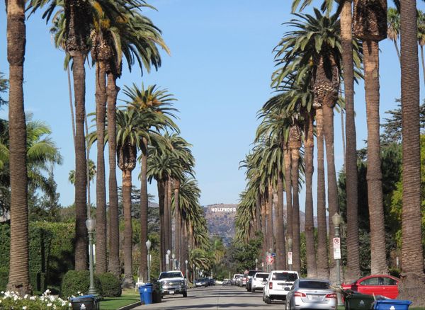 Hollywood Sign depuis South Windsor Boulevard