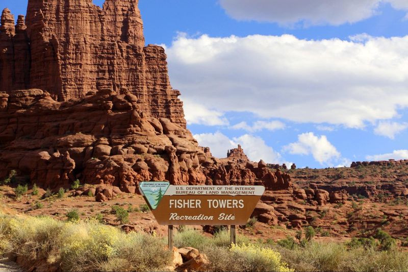 Fisher towers