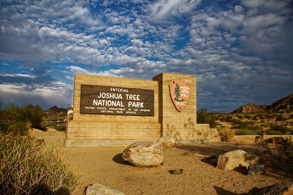 Entrée Joshua Tree NP