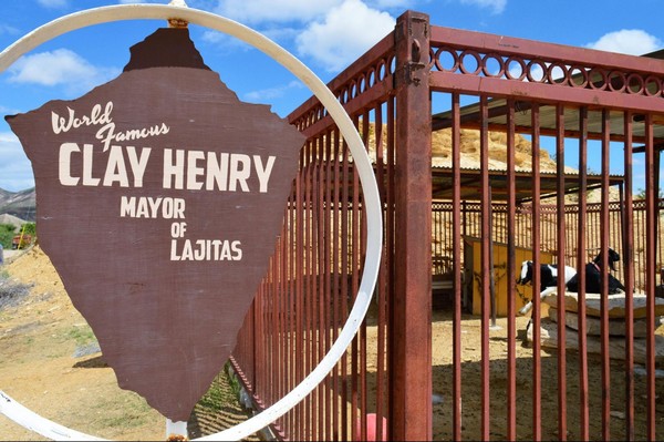 Clay Lajitas Texas
