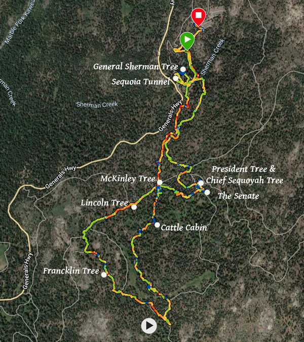 Plan eneral Sherman Tree, Congress Trail / Circle Meadow Trail / Alta Trail