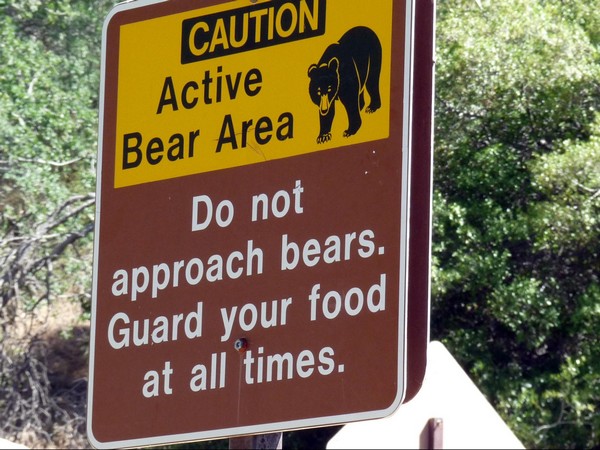 Panneau attention aux ours