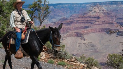 Randonnée à dos de mule au Grand Canyon
