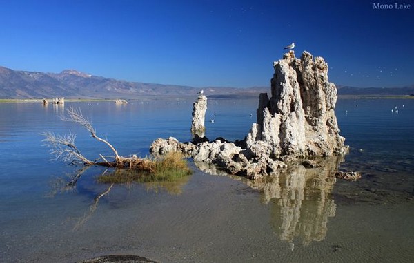 Couleurs de Mono Lake