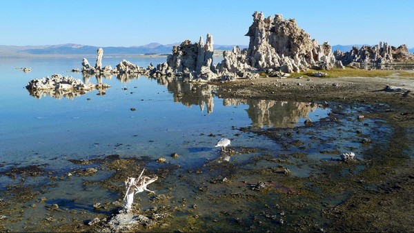 Tuffas de Mono Lake
