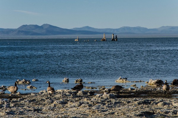 Mono Lake
