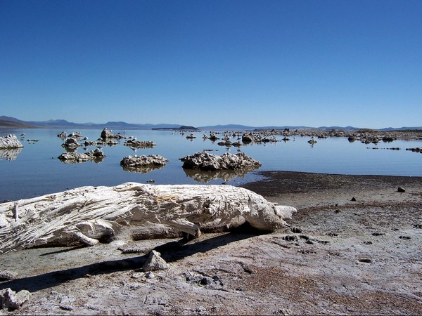 Sur les rives de Mono Lake