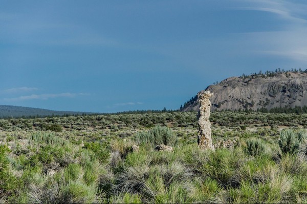 Environnement de Mono Lake