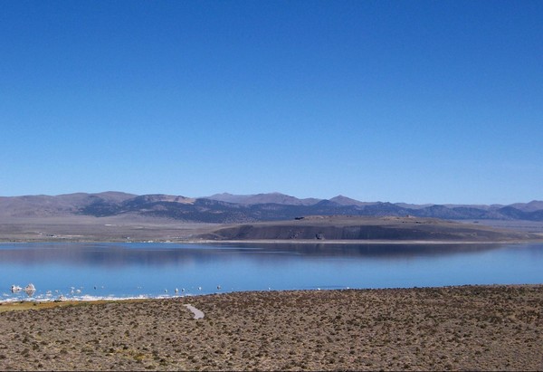 Rives du Mono Lake
