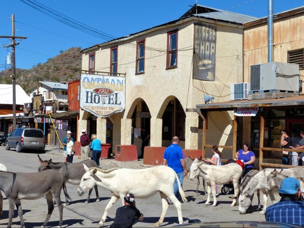 Oatman
