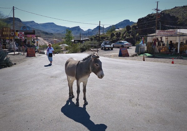 Oatman