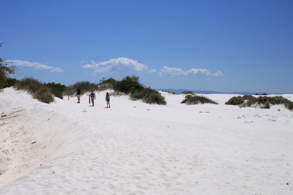 Randonnée à White Sands NP