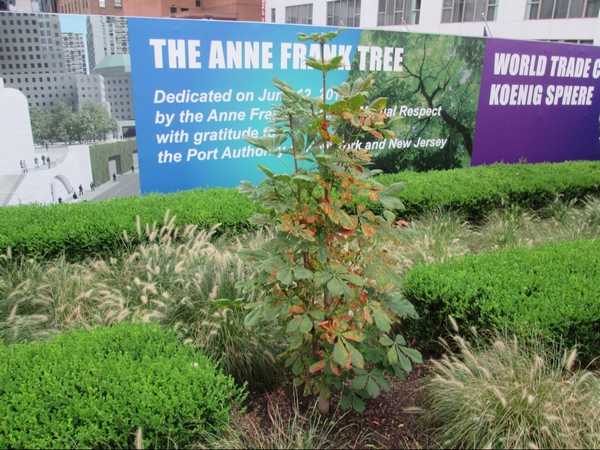Anne Frank Tree Liberty Park