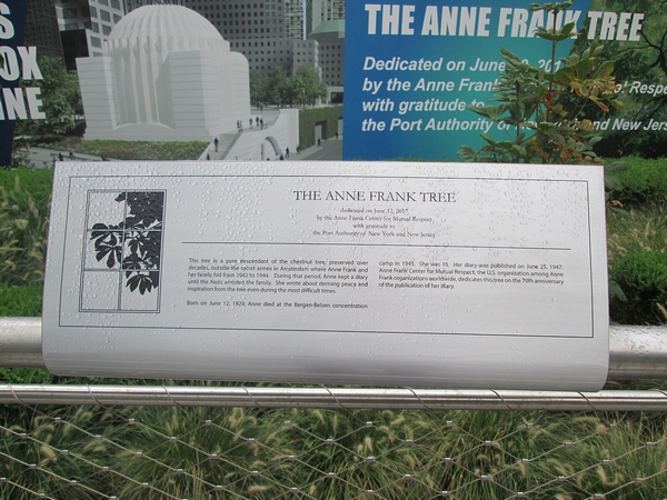 The Anne Frank Tree Liberty Park NYC