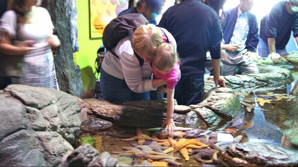 Aquarium of the Bay San Francisco