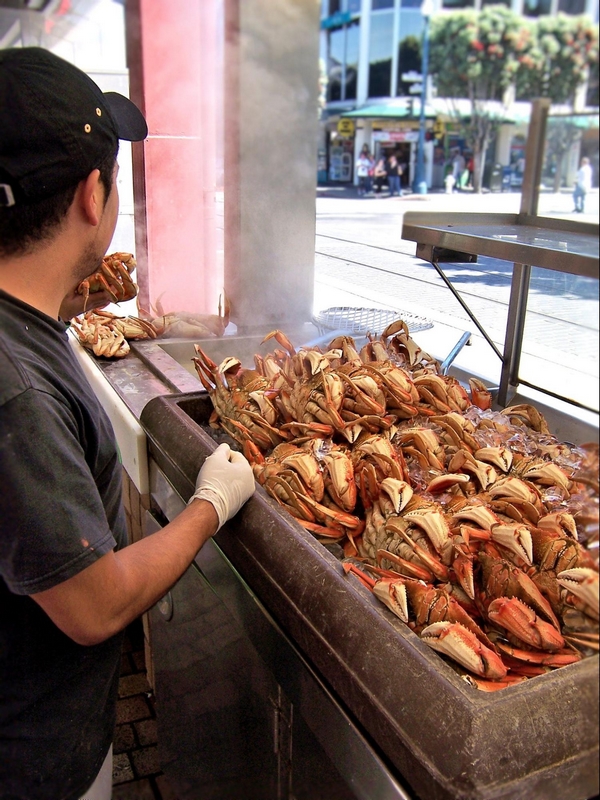 Crabe de Dungeness