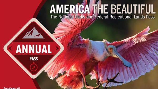 Pass America The Beautiful