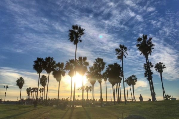 Venice Beach