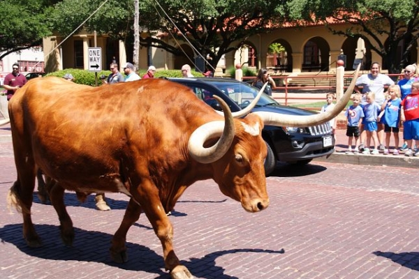 Fort Worth