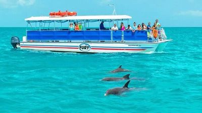 Croisière d’observation des dauphins à Key West
