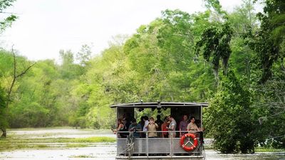 Tour en bateau des les bayous