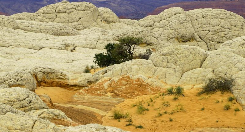 White Pocket en Arizona