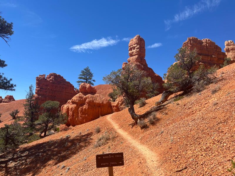 Red Canyon Utah