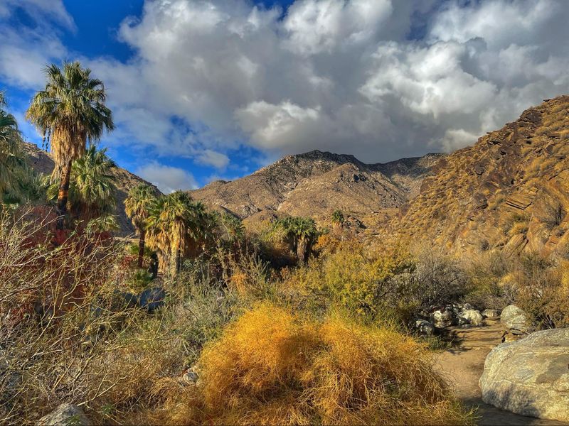 Indian Canyon