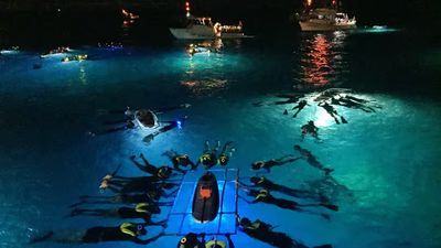 Kailua Kona : Aventure nocturne avec les raies manta